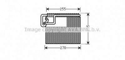 AVA QUALITY COOLING olv481 -  Испаритель, кондиционер